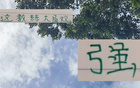 強觀大局！國安主帥輪換險致敗，多樣陣容更勝一籌。