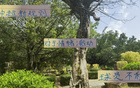 中超新規(guī)不利申花特謝拉，需調(diào)整隊(duì)長(zhǎng)或增吳曦盯人。