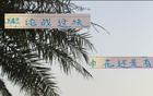 事出反常，申花老謀深算，勝后申訴，輿論戰(zhàn)不簡(jiǎn)單。
