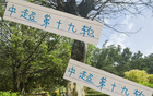 周末申花云南高原賽，阿蘇埃赤道南能否進第四球？