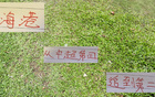 海港近榜首僅差4分，萊昂納多投資值得。