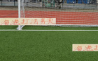 海港務(wù)實(shí)高效，申花攻守失衡。