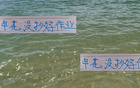 申花未精進，海港無慮外援歸國。
