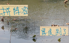 申花國(guó)安，外援國(guó)腳戰(zhàn)世預(yù)賽，陣容厚血決勝！