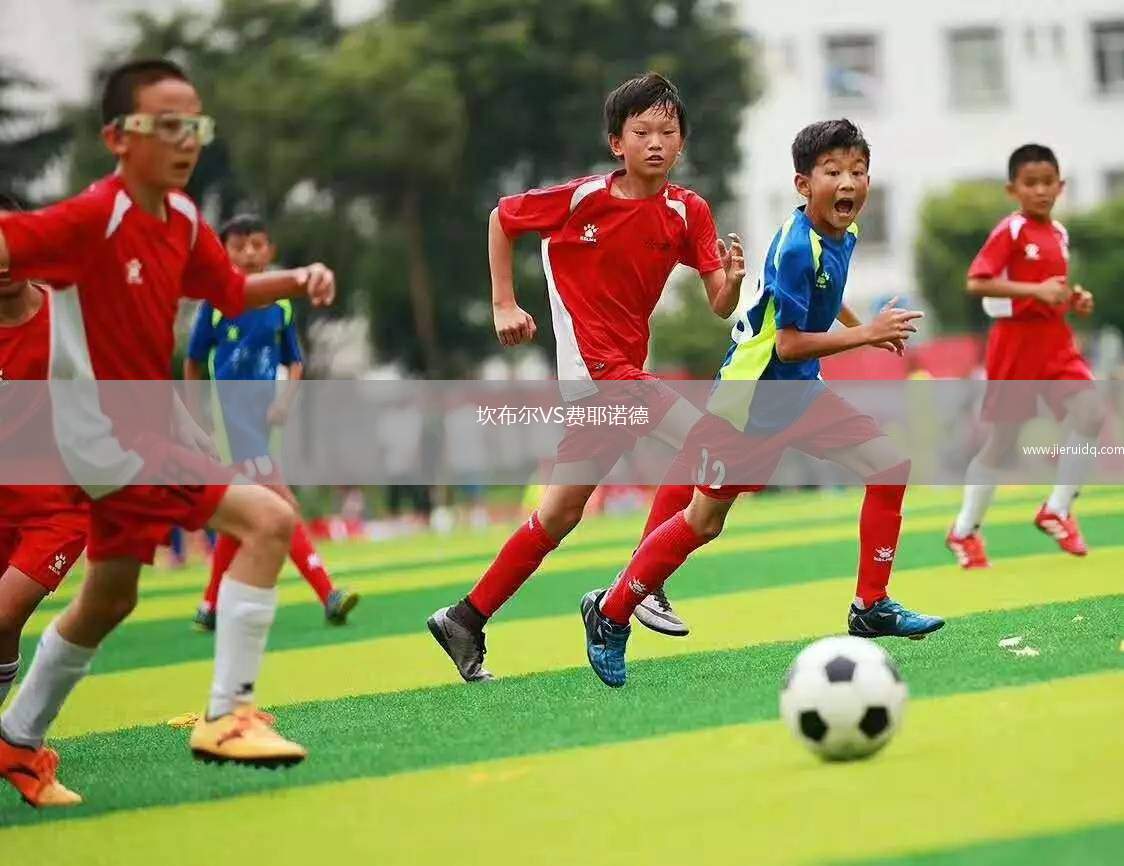 坎布爾VS費耶諾德