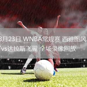 08月23日 WNBA常規(guī)賽 西雅圖風暴vs達拉斯飛翼 全場錄像回放