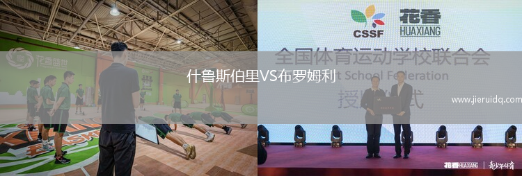 什魯斯伯里VS布羅姆利