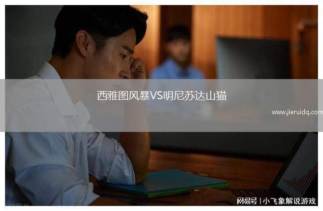 西雅圖風(fēng)暴VS明尼蘇達山貓