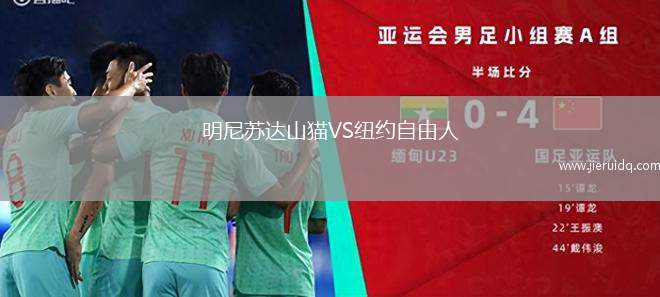 明尼蘇達山貓VS紐約自由人