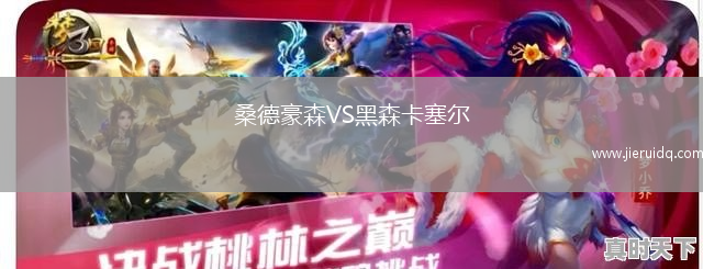 桑德豪森VS黑森卡塞爾